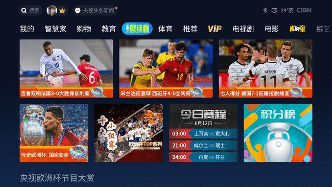 中国欧洲杯体育直播平台